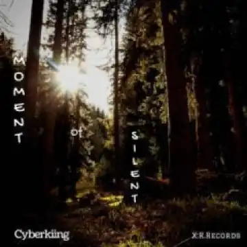 Cyberkiing - Moment Of Silence